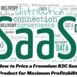 How to Price a Freemium B2C SaaS Product for Maximum Profitability