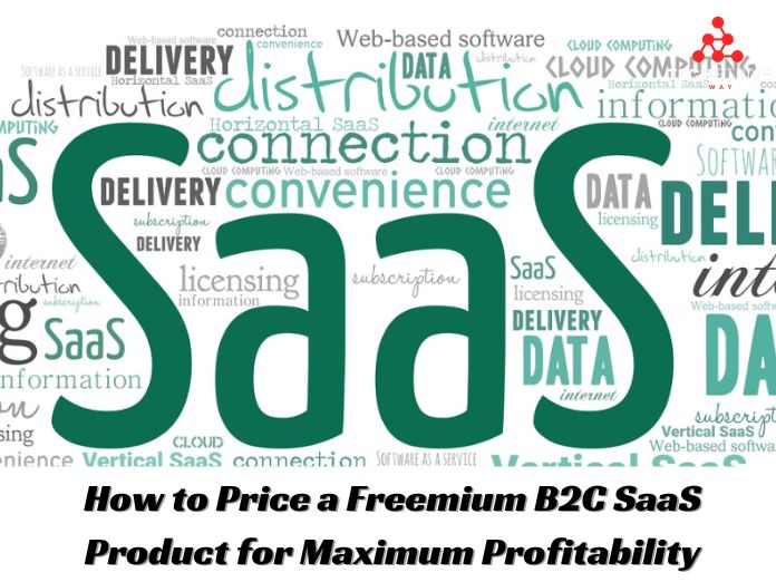 How to Price a Freemium B2C SaaS Product for Maximum Profitability